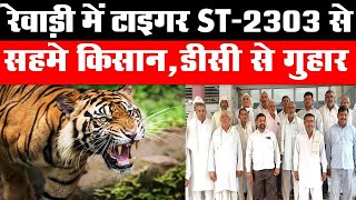 Dainiksathi रेवाड़ी में टाइगर ST2303 से सहमे किसान डीसी से गुहार  TIGER ST2303   RWEARI TIGER [upl. by Enileuqaj]