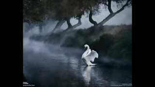 Felix Salmond  SaintSaëns Le Cygne The Swan [upl. by Niles]