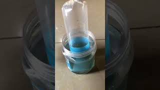 Unboxing betta imbellis ត្រីក្រឹមព្រៃ [upl. by Nitsed]