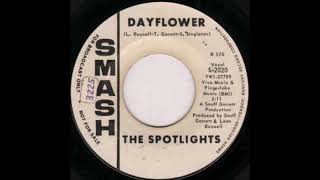 Dayflower  The Spotlights [upl. by Thomas]