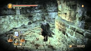 Dark Souls 2  Giant Memories Farming Guide  Unlimited Bonfire Ascetics and Soul Vessels [upl. by Noirrad711]