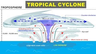 Tropical Cyclone Hurricane Storm Formation explained  Cyclone Biparjay in Arabian Sea Gujarat [upl. by Aeriel]