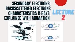 Secondary electrons backscattered electrons characteristics Xrays Reflection and transmission L2 [upl. by Pru]