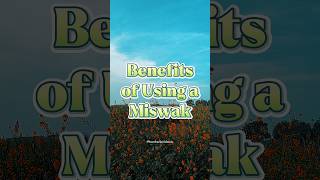 Benefits of Using a Miswak [upl. by Nahtaneoj820]