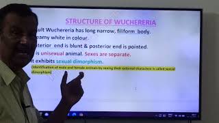 267Wuchereria bancrofti Life cycleLQJRsUnit ViBiology in Human welfare [upl. by Eniaj439]