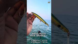 Best lure for Barramundi fishing 🎣 Tackle House feed Shallow Plus tackletips [upl. by Gnous]