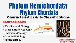 Hemichordata amp Chordata  General Characteristics amp Classification  Miller amp Harley Zoology  PPSC [upl. by Sarid]