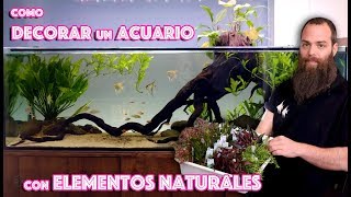 Consejos para decorar el acuario con elementos naturales [upl. by Eed]