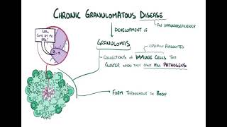 Chronic granulomatous diseases شرح بالعربي [upl. by Burney996]