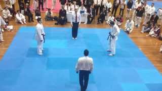 GKR World Cup 2013 Mens team Kumite final [upl. by Ylla]