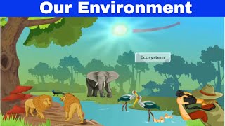 CBSE Class 10 Science  15  Our Environment  Full Chapter  by Shiksha House [upl. by Nellac842]