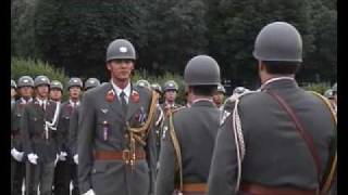 Official Parade in Vienna [upl. by Efar534]