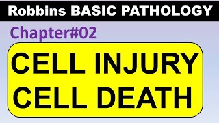 Chp2 Part1Robbins Basic Pathology  CELL INJURY  CELL DEATH  NECROSIS  APOPTOSIS  AUTOPHAGY [upl. by Wrand]