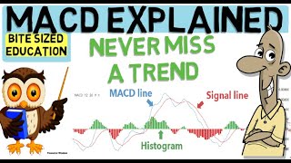 MACD INDICATOR EXPLAINED Trade with the trend [upl. by Akenihs927]