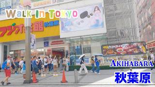 【4K Tokyo Walk】Akihabara Walk 秋葉原を歩く。 2024820 [upl. by Ahseela]