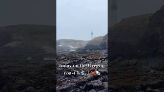 Yaquina Head Lighthouse in Newport  Depoe Bay📍Oregon oregon oregoncoast pnw oregonliving [upl. by Hauger]