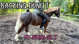 BACKING MY YOUNG HORSE DONUT’S JOURNEY  SPEND THE DAY WITH US [upl. by Ahsaercal672]