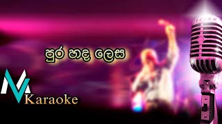 Pura Hada Lesa Karaoke amp Lyrics [upl. by Ettezzil405]