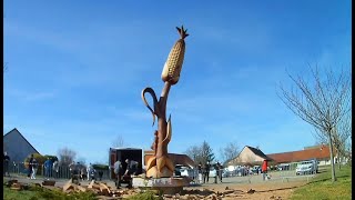 Le sculpteur sur bois à la tronçonneuse Jacques Pissenem redonne vie à un orme centenaire [upl. by Clovah]