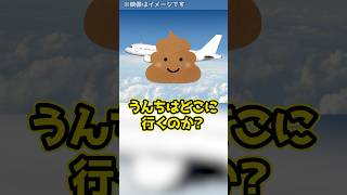 【仰天】飛行機のうんちは時速○○○kmで配管を移動する！？shorts [upl. by Ahiel120]