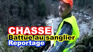 CHASSE  Battue au sanglier en Ardèche [upl. by Tneciv]