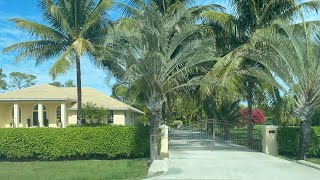 Loxahatchee 🌴 Tropical Countryside 🌴 Palm Beach County Florida [upl. by Rothmuller]