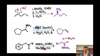 Synthesis and Reactions of Amines  LTQ 91 Spring 2024 [upl. by Acus579]