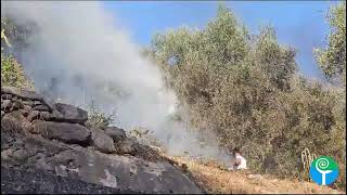 Ischitella incendio in località Fontana a ridosso delle case [upl. by Amata985]