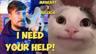 Beluga Collabs with MrBeast [upl. by Valaree]