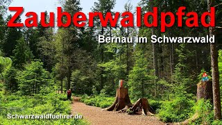 Zauberwaldpfad in Bernau im Schwarzwald [upl. by Riella]