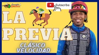 🏆 ✔️Carlos De León 🏇 🏆 🏆 Clásico VELOCIDAD🏆 OUR FLORIDA WELLS  La Previa [upl. by Sokram370]