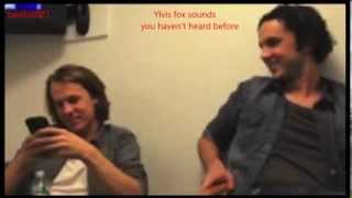 Ylvis Fox sounds you havent heard before [upl. by Lunette]