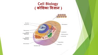 Cell Biology कोशिका विज्ञान  Lacture 2 [upl. by Alaunnoif364]