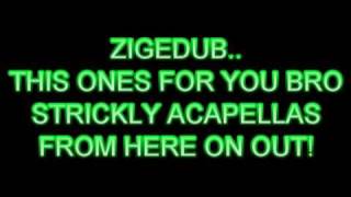 ACAPELLA REMIX FOR ZIGEDUB [upl. by Shevlo465]