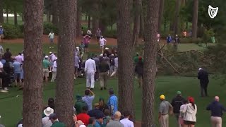 Terrifying moment when tree fall nearly crushes crowd at Masters Tournament in Augusta Georgia [upl. by Lytsirhc]