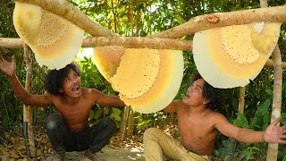 Unbelievable Two Brave Brothers Harvesting Three Beehive Barehanded [upl. by Swift]