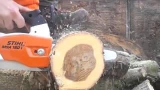 Stihl MSA 160T accu chainsaw vs oak [upl. by Bradway98]