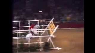 World Record Horse High Jump 2 32 meters [upl. by Adnuhsat166]