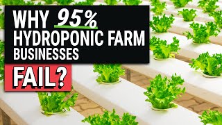 10 Reasons Hydroponic Farm Businesses Fail [upl. by Huda525]