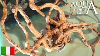 Aquascaping Lab  Legni e Radici per Acquario trattamento Jati Mopani Java Driftwood [upl. by Anniken726]