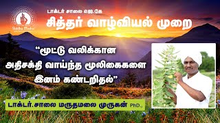 quotமூட்டு வலிக்கான அதிசக்தி வாய்ந்த மூலிகைகளை இனம் கண்டறிதல்quot  அதனை நமக்கு பயன்படுத்துதல் [upl. by Hebner]