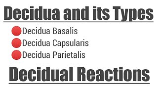 Decidua and its Types  Decidual Reactions [upl. by Salter]