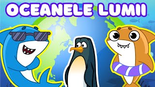 Invatam Oceanele Lumii  Desene Educative [upl. by Ahselrak]