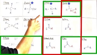 BEST WAY TO MEMORIZE Functional Groups With BONUS Lesson At End [upl. by Brenk]