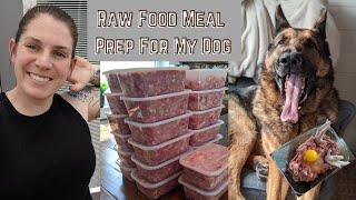 How I Feed My Dog a Raw Food Diet  Way easier and cheaper than you think [upl. by Aelegna526]