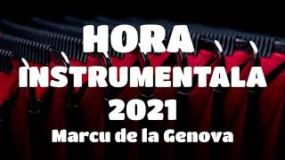 Hora instrumentala la orga 2021 muzica de petrecere lautareasca [upl. by Fiore319]