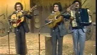 Trio Parada Dura  Homem de Pedra Programa Viola Minha Viola  1980 [upl. by Teodorico]