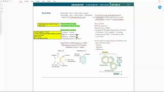 USMLE Mnemonics Biochem Molecular Nucleotides [upl. by Natehc214]