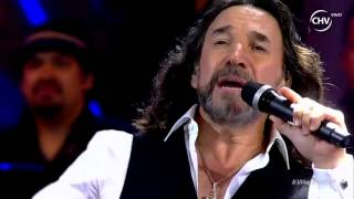 Marco Antonio Solís Festival de Viña 2016 [upl. by Haral]