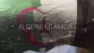 LAlgérino ALGERIE Mi Amor instrumental Lettre damour à mon pays [upl. by Leirrad]